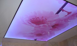 Двухуровневый потолок белый с арт печатью 'Цветы' с сатиновой окантовкой у стойки reception с точечной и светодиодной подсветкой в Киреевске